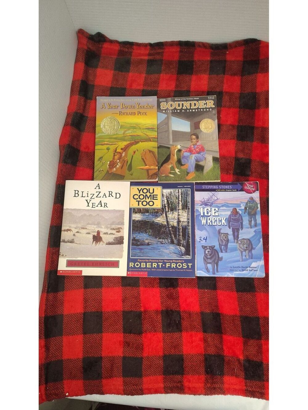Winter Survival Adventure Lot 5 Sounder Blizzard Year Ice Wreck Robert Frost